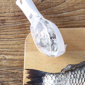 Scraper Fish Cleaning Tool